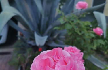 Grandma's garden house - Foto 25