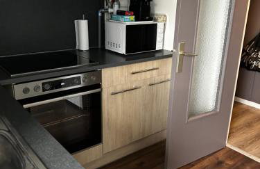 Appartement 4 personnes tout confort à Strasbourg - Foto 2