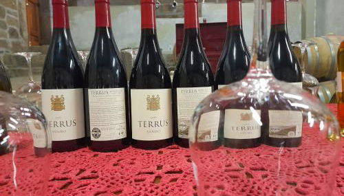 Lemon Tree Cottage at Terrus Winery - Photo 3