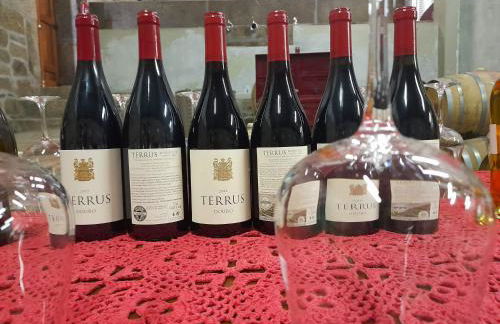 River View ate Terrus Winery - Foto 8