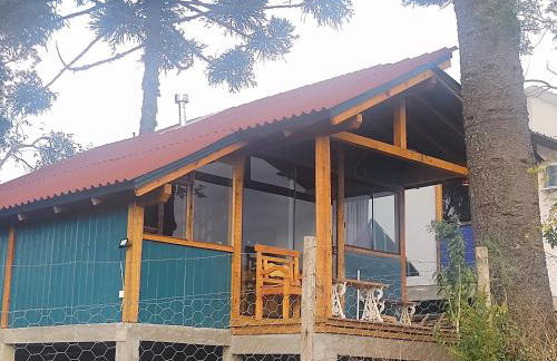 Na'raucária - Foto 15