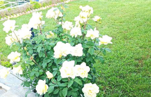 Sea view villa - Foto 31