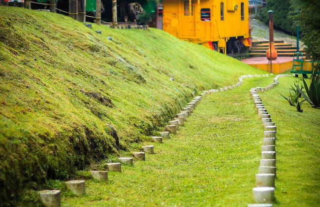 Los Vagones Cabañas Restaurante Bar - Photo 64