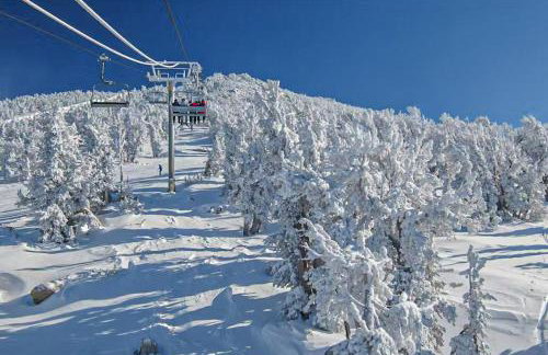 The Bridges 23 - Foto 28