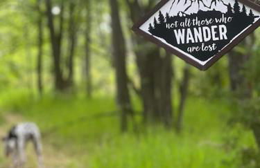 The Great Escape by Simple Life Rentals - Foto 16