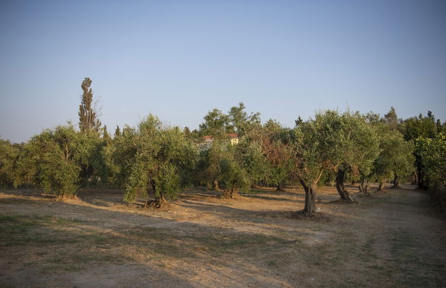 Agapi Summer House - Foto 12