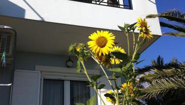 Vasila seaview - Foto 1