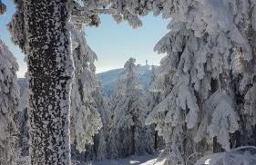 Ferienwohnung "Waldzauber" - Foto 31