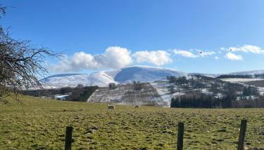 The Gardener's House - Foto 2