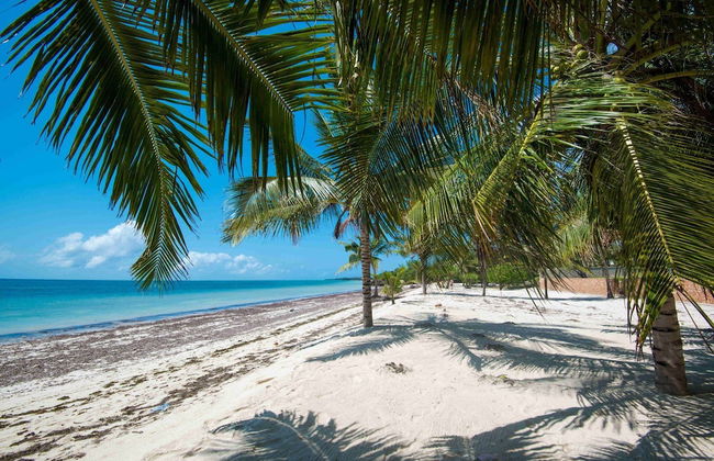 Shamba La Salama - Foto 1