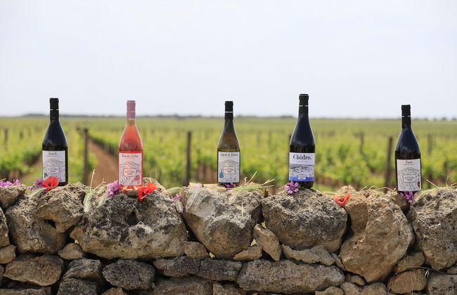 Masseria Cuturi - Photo 50