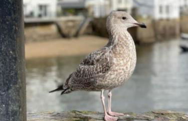 Marners Rock No 2 - Foto 36