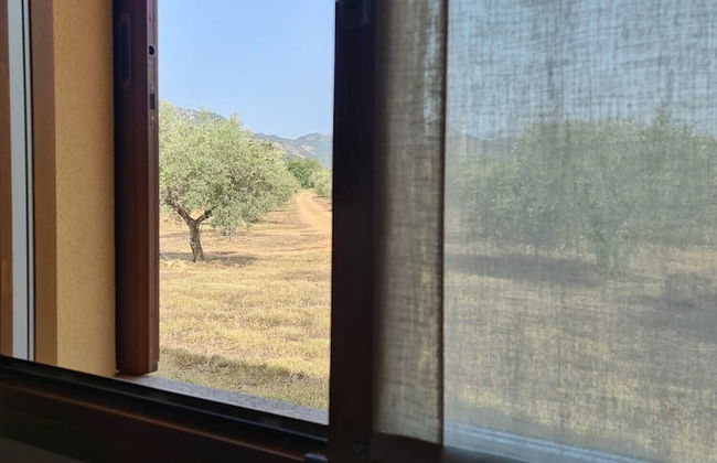 Agriturismo Corte Degli Ulivi - Foto 67