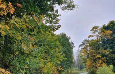 Wilcza Dolina - Foto 5