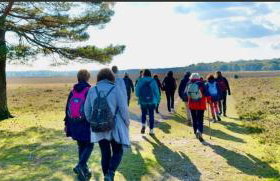 Cosy Forest Cottage Log Fire Ponies Walks - Foto 3