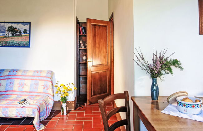 Pulcino n°3 - Foto 9