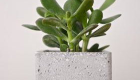 Pénde Suites - Foto 2