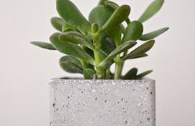 Pénde Suites - Foto 2