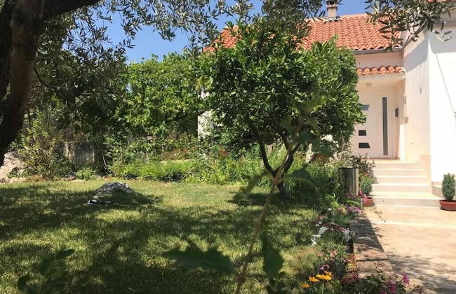 Sea View Apartment Orhideja, Sleeps 4 - Foto 27