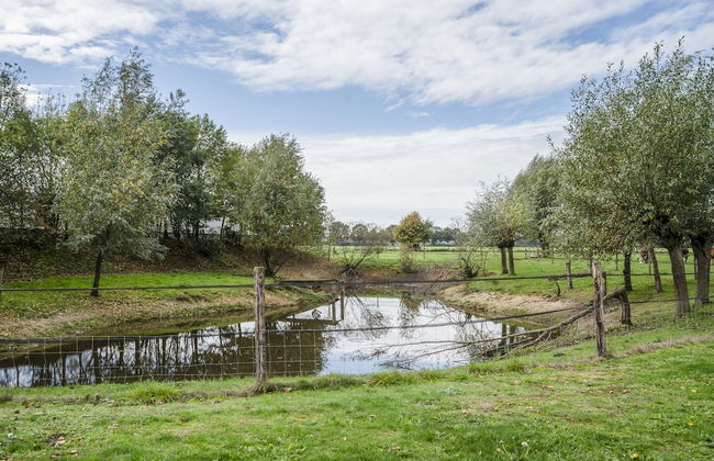 Lamperse hei - Photo 42