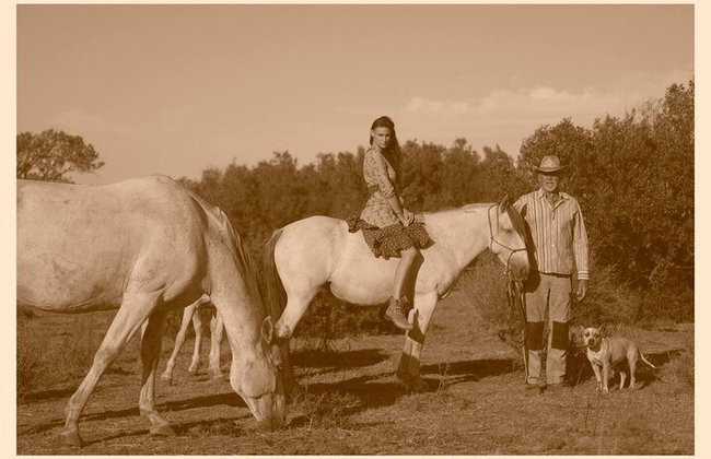 Santuario de Caballos: Un paseo por la naturaleza con Caballos Rescatados a tu lado - Foto 8