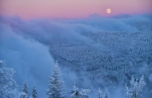 Flucht in Malsburg-Marzell - Foto 34