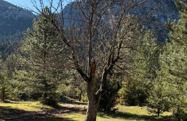 Cedar Wood Cabin - Foto 9