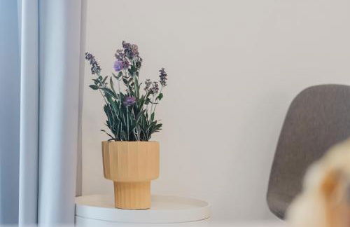 Fabrizio's Apartment - Photo 20