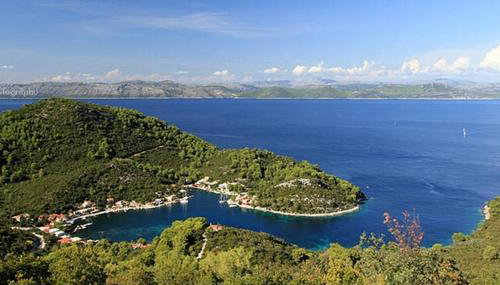 Apartments Vera - Foto 3