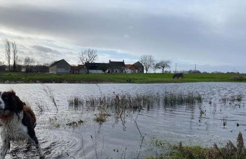 Villenouan domaine et gites - Photo 33