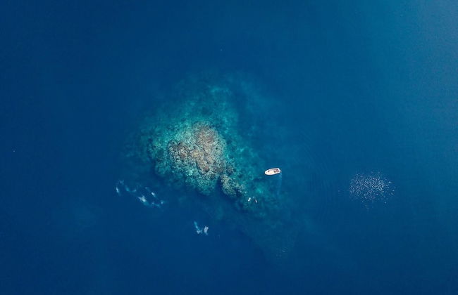 Regina Liveaboard - Foto 15