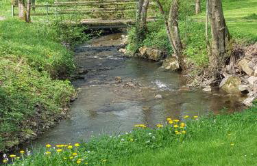 Gite des étangs de Saint Bale - Foto 19