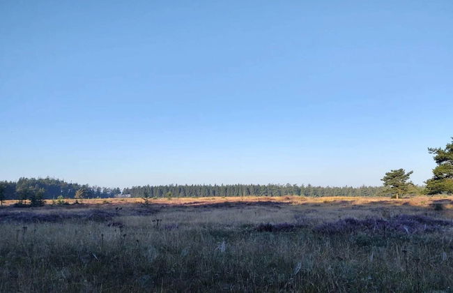 5 Star Holiday Home in Hovborg - Foto 12