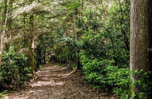 Maison avec piscine partagée proche de Périgueux - FR-1-616-528 - Foto 28