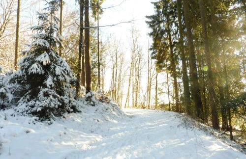 Kleine Villa im wilden Garten - Foto 35