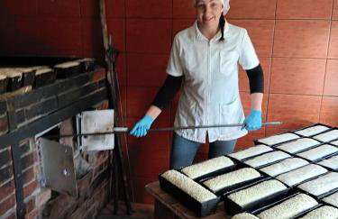 PRZYSTANEK nowEKOprzywno - Żółty Domek Pod Kasztanem - Foto 16