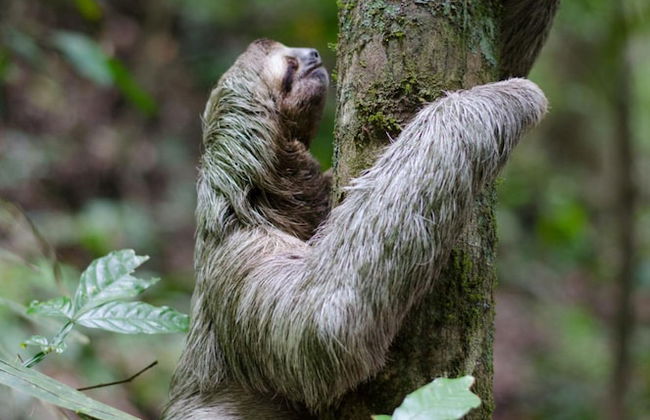 Luxe 4 Bdrm Villa w Epic Oceanview Infinity Pool - Foto 40