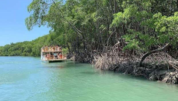 Manguezais de Mundaú