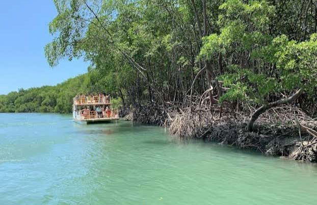 Excursion aux plages de Mundaú et Flecheiras - Photo 2