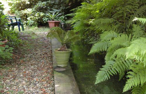 Ferienwohnungen Reichholdsmühle - Foto 7