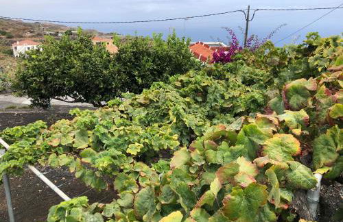 Casa Rural Los Frailes - Foto 18