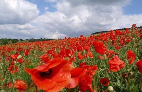 Atelier-Rapp - Foto 34