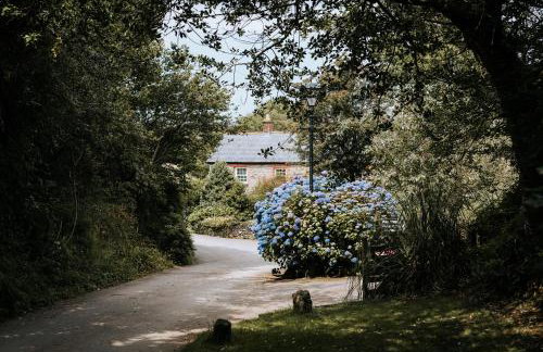 Mill House @ Goonwinnow Farm - Foto 18