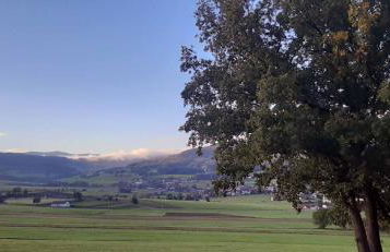 Gasthof Zum Wirt Ferienwohnung Hohenbogenblick - Foto 37