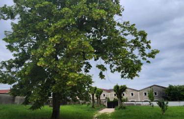 La Villa Ausone - Foto 23