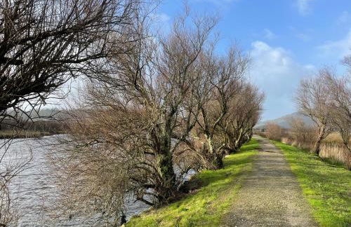 Casa Balsas - Foto 50