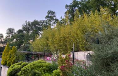 Le gîte de Cambuisson - Foto 24