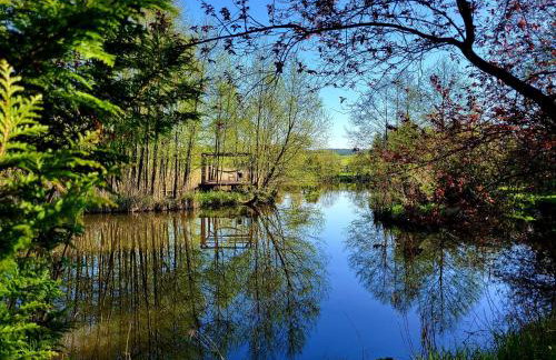 Dom Malarki - Foto 38