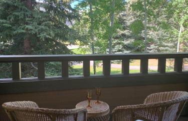 SV Wildflower Condo 3 Bed 3 Bath w SV INN pool access- No PETS! - Foto 21