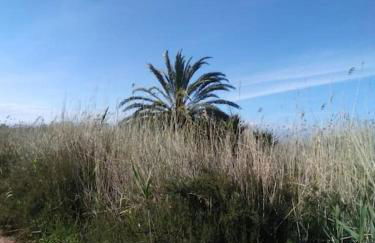 Nice apartment on the coast to relax and work - Foto 45